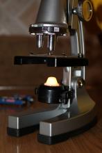 Электронная подсветка микроскопа